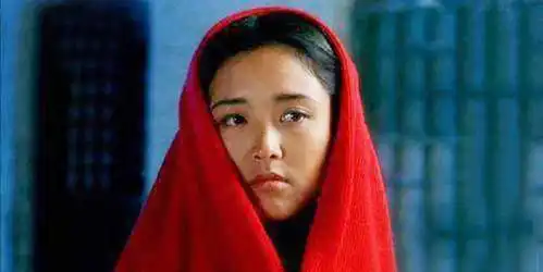 著名女星颜丹晨主演花季雨季成名,而今爱情婚姻成谜