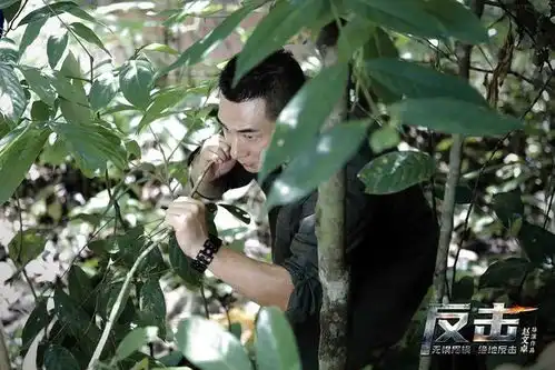 不停刷榜的最强春节档,少了点啥味儿