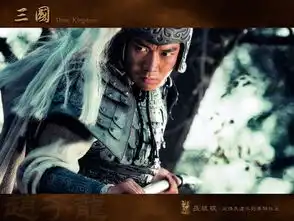 三国群英之襄阳商铺2

