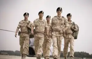 太阳的后裔海报太阳的后裔剧照图片2016
