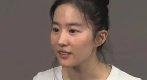 杨采钰也曾试镜花木兰出道就和刘亦菲比,这次刘亦菲又赢了

