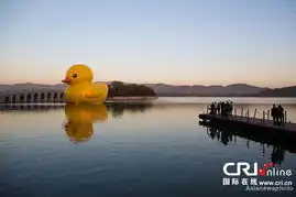 大黄鸭亮相颐和园游客创意留趣影