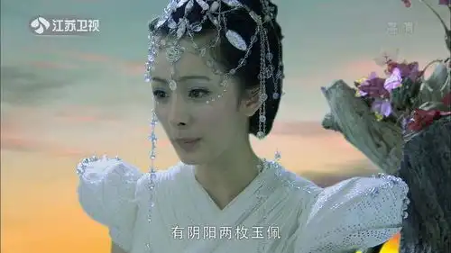 仙剑奇侠传电影版,40块钱电影票已准备好,期待ing
