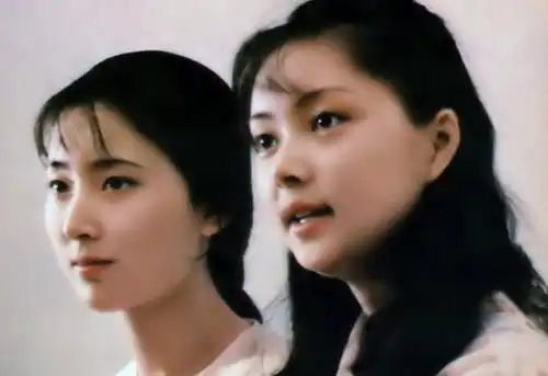 30年前红楼梦海选内幕当年的姑娘,都太美了