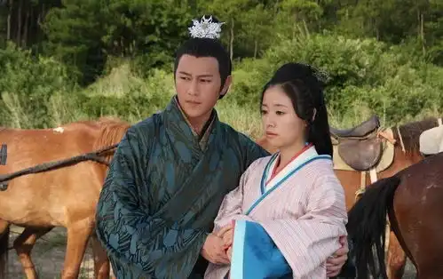 楚乔传抄袭斛珠夫人定案10部剧爆抄袭的原著小说,甄嬛传也抄袭