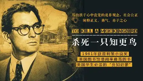 杀死一只知更鸟从孩子的视角看待种族歧视,探索微妙的人性
