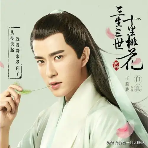 三生三世十里桃花喜欢白真的少辛,却选择了满眼都是她的桑籍
