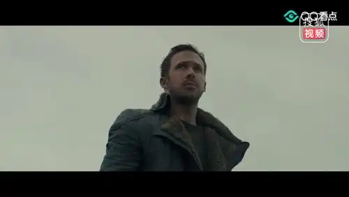 银翼杀手男主回忆自己童年的故事
