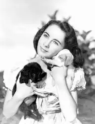 上天入地居家萌物关于汪星人的那些电影
