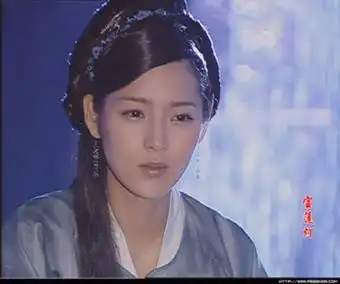 朴信惠蔡琳秋瓷炫盘点韩国明星演的中国古装戏
