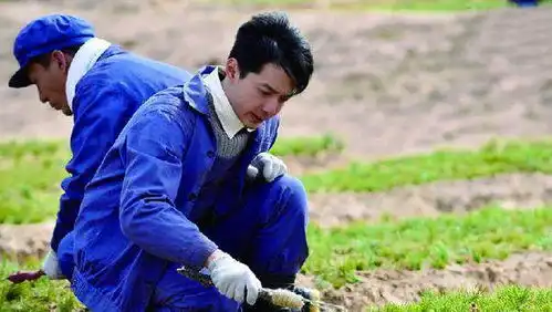 郭靖宇评分最高的8部剧,娘道成滑铁卢,最美的青春第四
