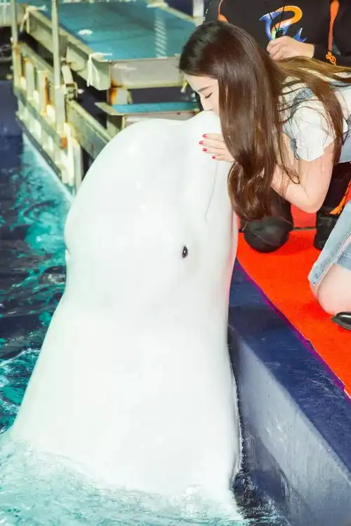 第一次看到杨洋和刘亦菲这套图
