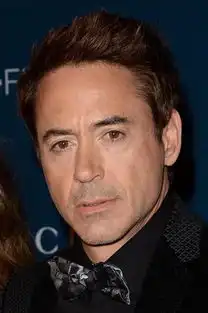 2013年票房最高的演员