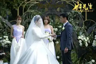 王耀庆好先生今落幕与孙红雷夺爱终极一战
