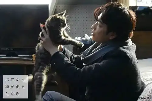 不要说你爱猫,你只是馋它的身子
