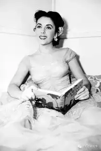 西方最美的三个女神迷人老照片,泰勒,梦露还有赫本
