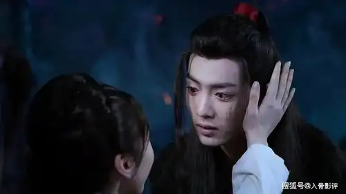 陈情令当我走到悬崖停驻,发觉泪也有温度魏无羡身陨不夜天温氏