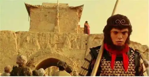 终于弄明白了为什么要叫单身狗而不是单身猫
