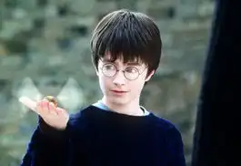 变色甲虫酷似哈利波特中金色飞贼