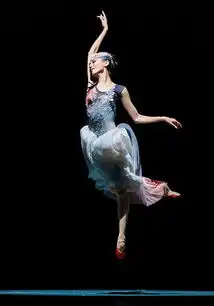 上海国际舞蹈中心首个演出季开票