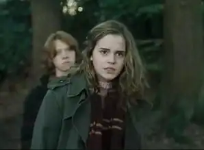 哈利波特与火焰杯中赫敏穿的风衣哪有卖的
