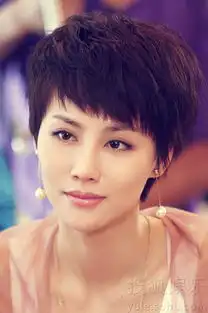 江易珈获封气场女王与钟汉良职场对决受追捧5837503
