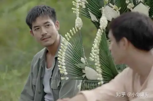 深度泰与腐,为何可以紧密联系
