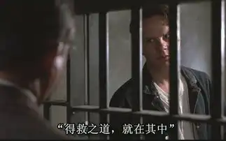 观看肖申克的救赎27遍

