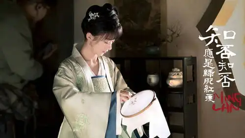 知否知否应是绿肥红瘦剧照大公开