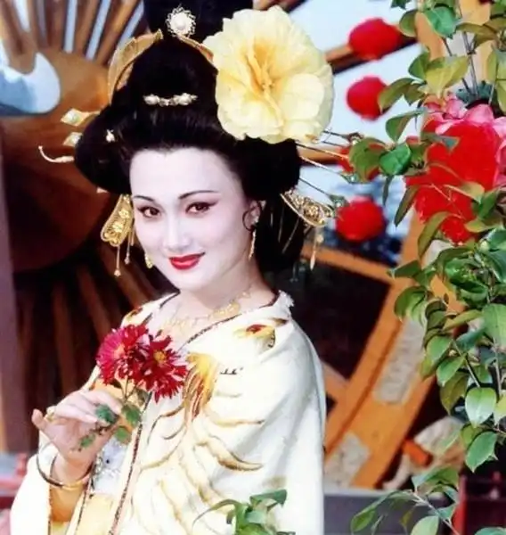 一骑红尘妃子笑,无人知是荔枝来备受宠爱的杨贵妃为何没有封后杨玉环