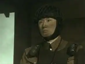 亮剑亮剑的致命伤,为什么还有那么多人奉为神剧
