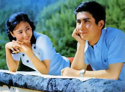 影响黄晓明胡歌关晓彤告诉你,做明星没那么简单
