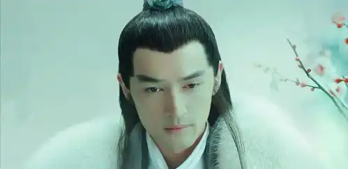 胡歌唯一一部被停播的电视剧,原因让人心痛