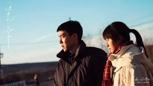 11月27号亚新奖入选片日光之下公映