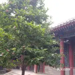 电话,地址,价格,营业时间北京周边游