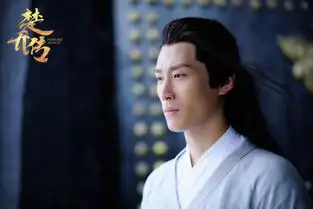 楚乔传燕洵为赵丽颖断指宇文玥借酒消愁