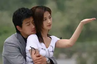 蝴蝶飞飞2004年佟大为杨雪主演电视剧搜狗百科