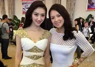 章子怡大战景甜华谊万达再开撕范冰冰暗讽