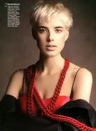 百度图片搜索agyness大片的搜索结果