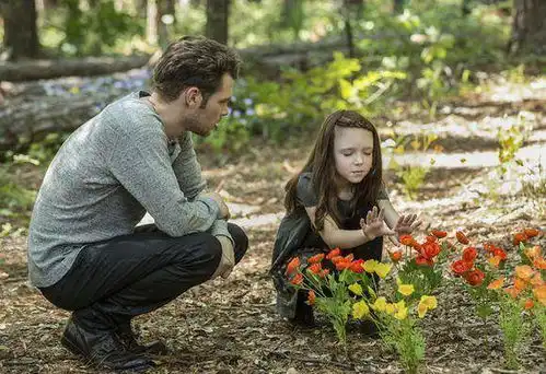 分享一下我追过的欧美剧30部
