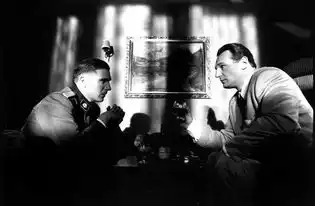 10部超越纯粹视听感性的超高分电影你都看了么