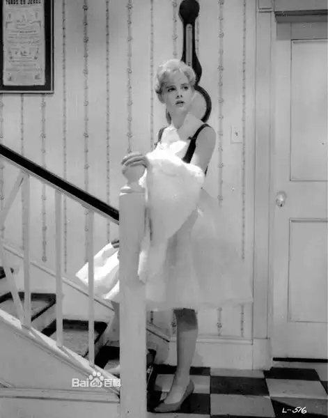 苏莱恩堆糖,美好生活研究所
