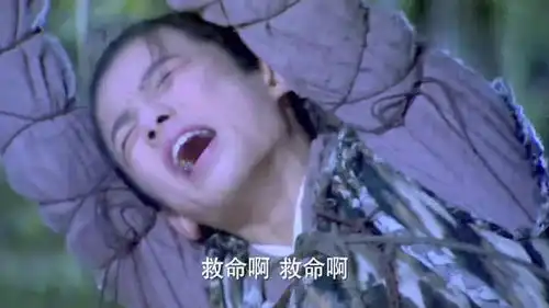 新神雕侠侣眼看何沅君要死,武三通及时出现,与李莫愁决斗