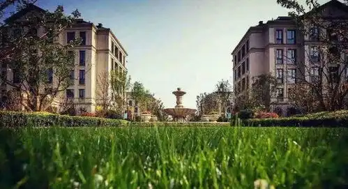 理想之城柳岸晓风丨张爱玲喜欢的也许不是洋房,而是一种生活的艺术