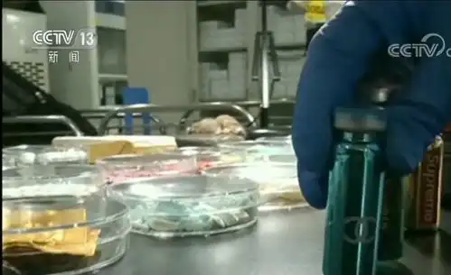 栽中国是绝命毒师这国离了大谱亮剑时刻到了
