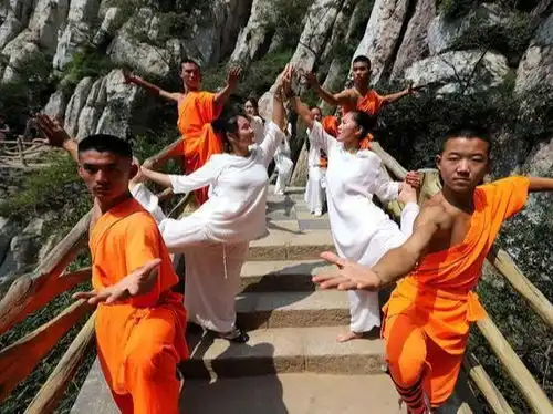 禅修期间,从事外出劳作,是积累福德,对进入禅定有帮助
