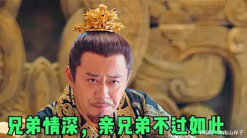 第5集琅琊榜之风起长林兄弟情深,亲兄弟不过如此
