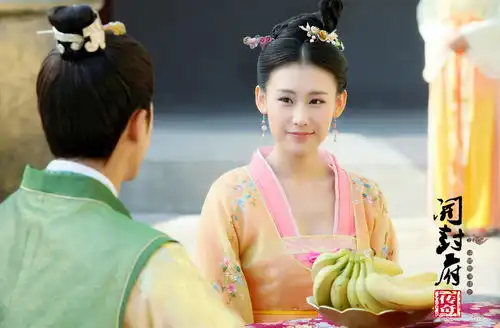 开封府曝高颜海报王婉中前朝公主清丽脱俗
