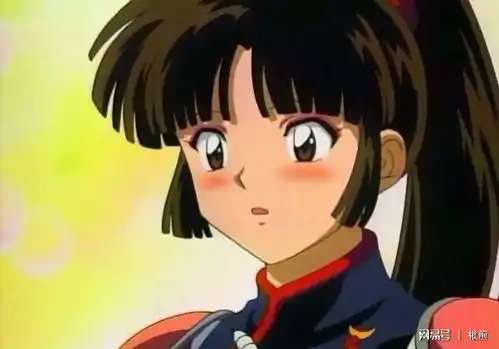 你觉得犬夜叉中的珊瑚到底是怎么样的一个人,你喜欢她吗