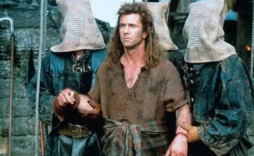 25年首次曝光,勇敢的心投资难双女主的真相